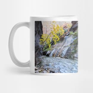 The Narrows Mug